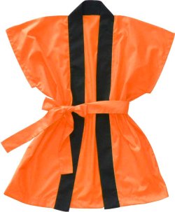 画像7: 袖ナシ法被